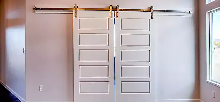 Glass Barn Door with Installation Hardware Kit Alhambra